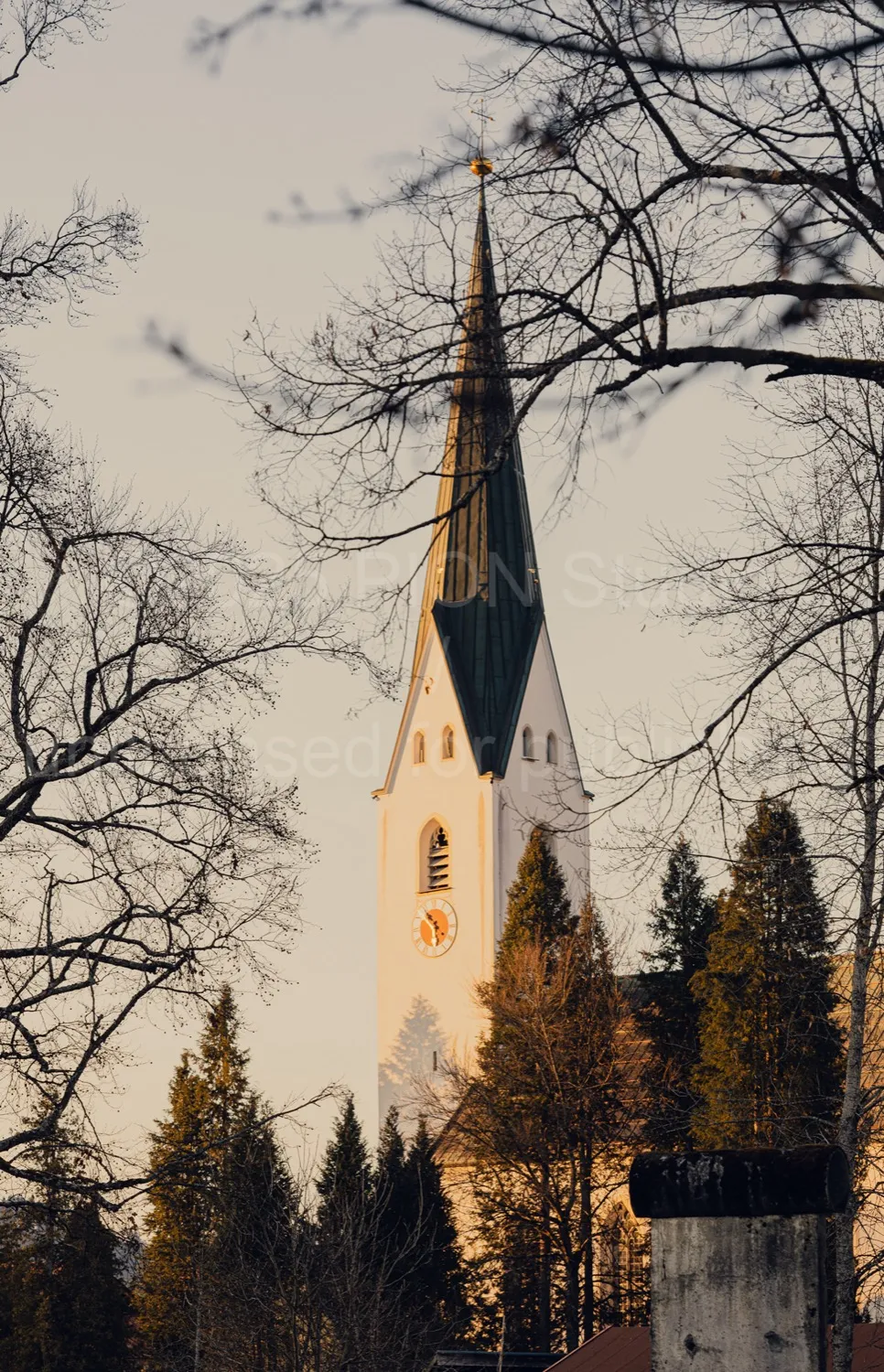 Haus Edelweiss